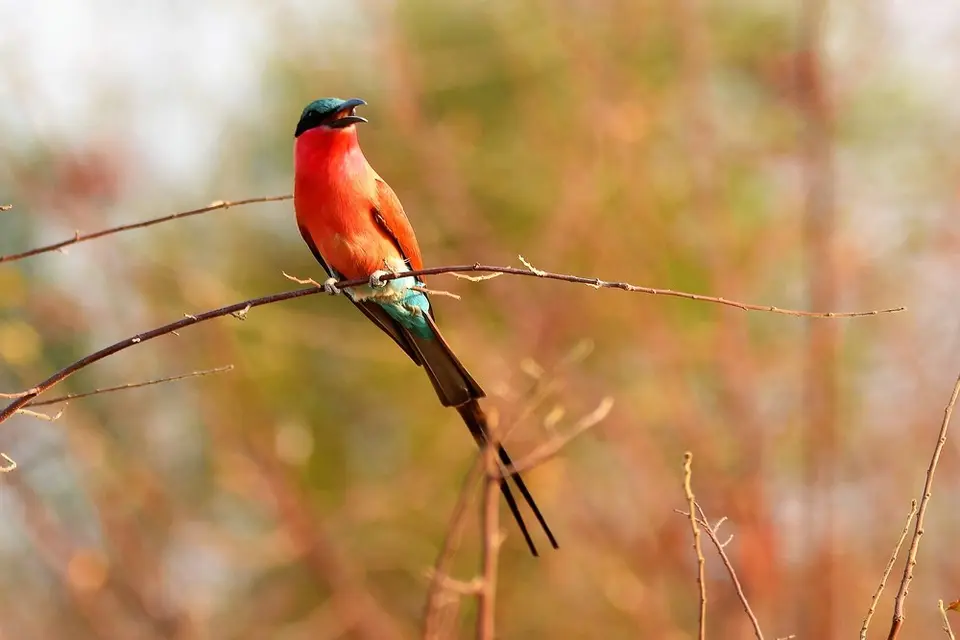 comp_DSC_4728.jpg