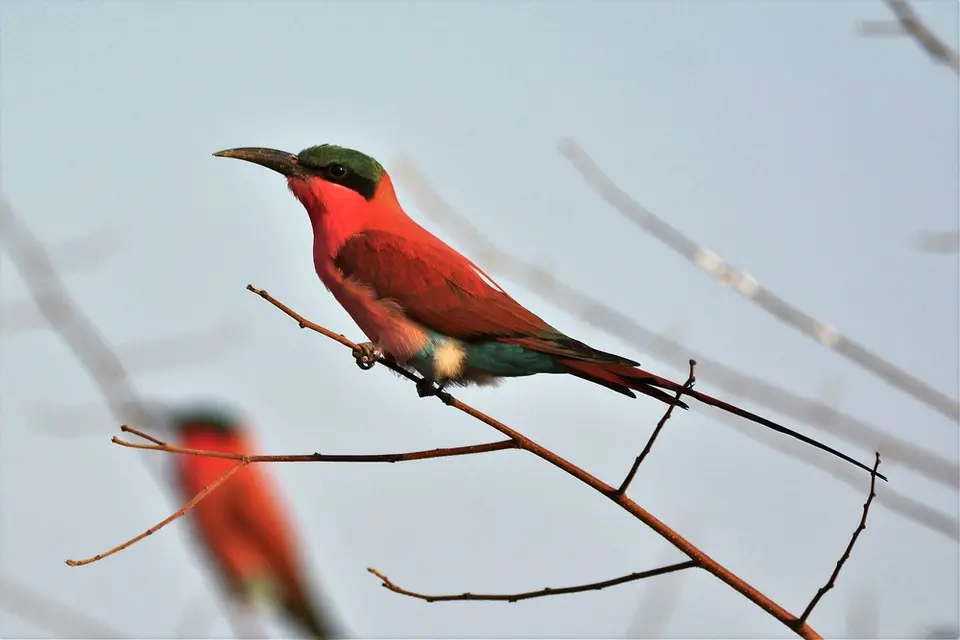 comp_DSC_4747.jpg