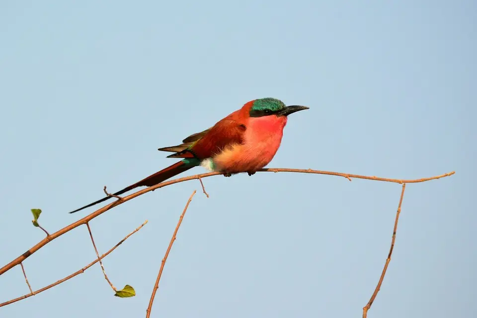 comp_DSC_4845.jpg