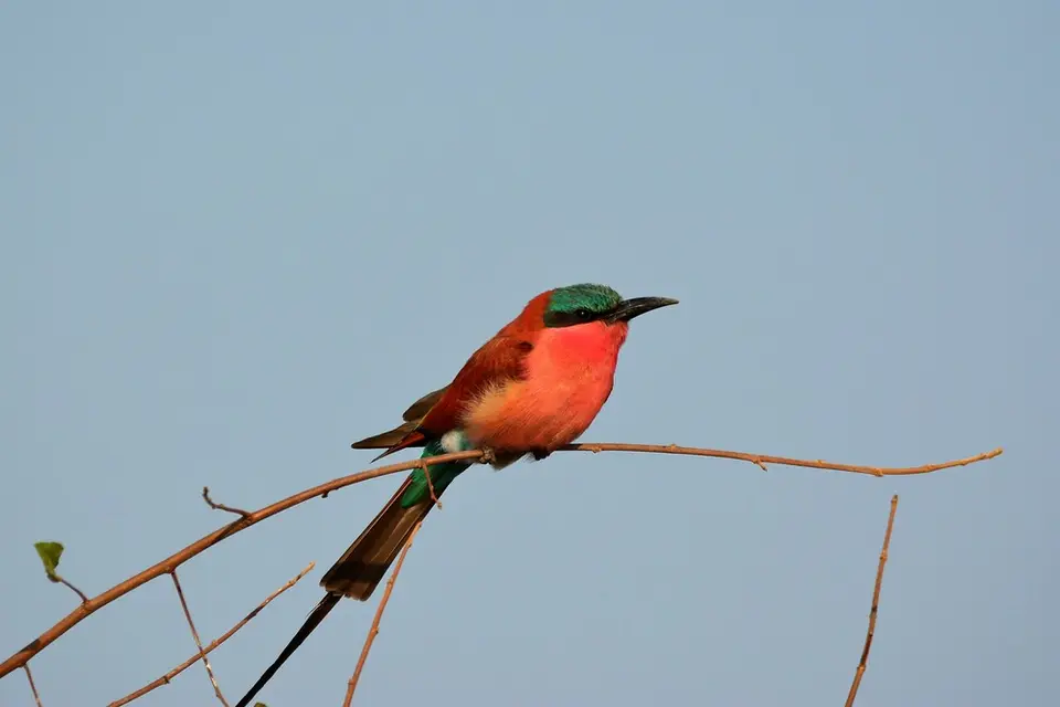 comp_DSC_4846.jpg