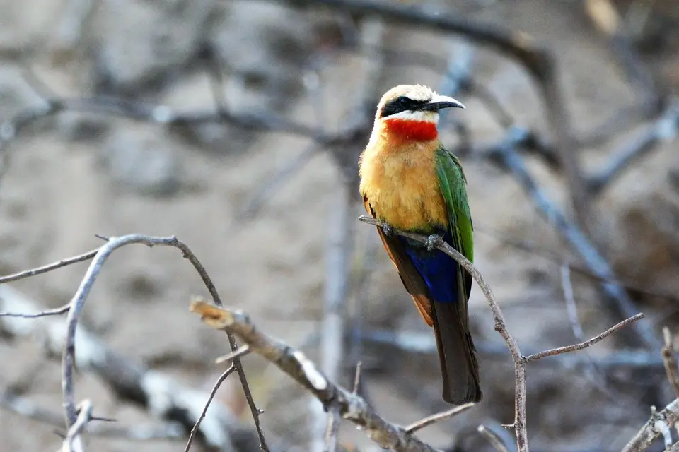 comp_DSC_4972.jpg