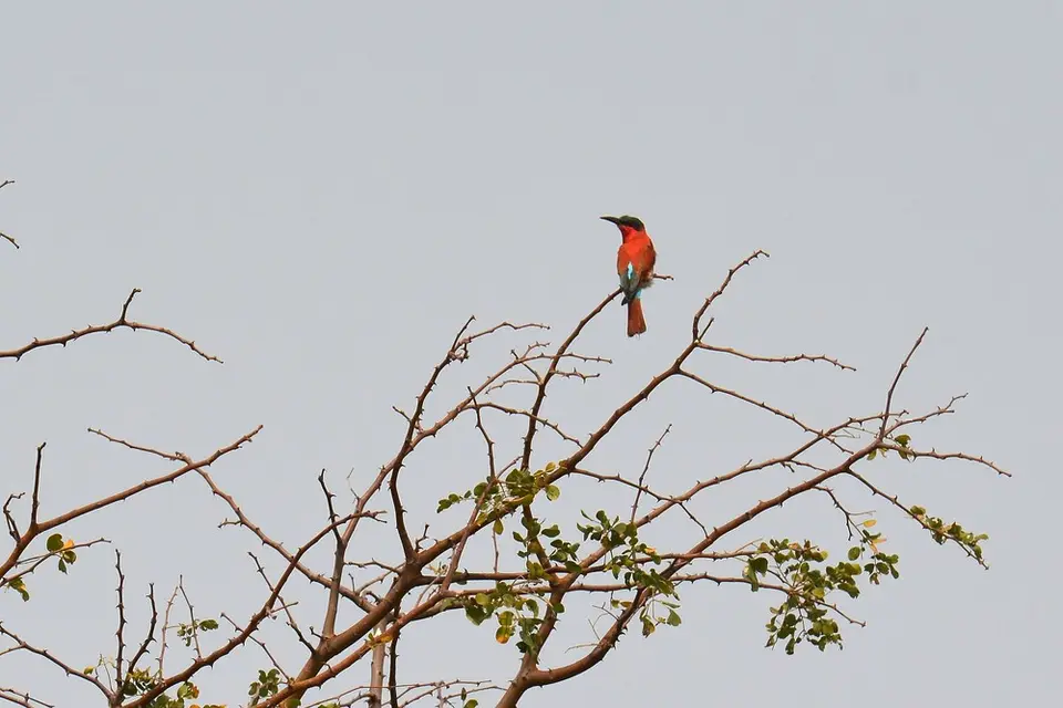 comp_DSC_5010.jpg