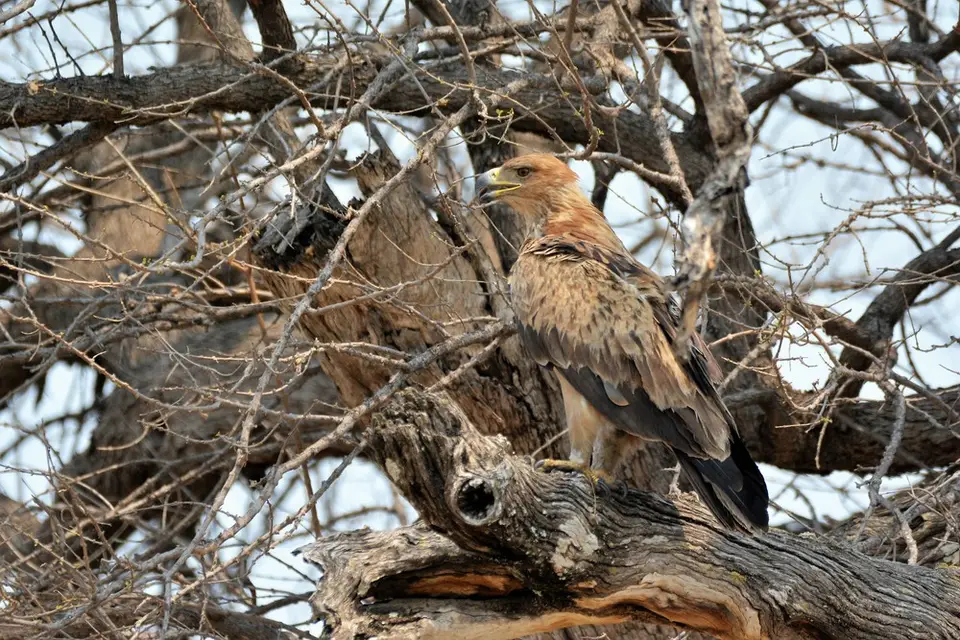 comp_DSC_5459.jpg