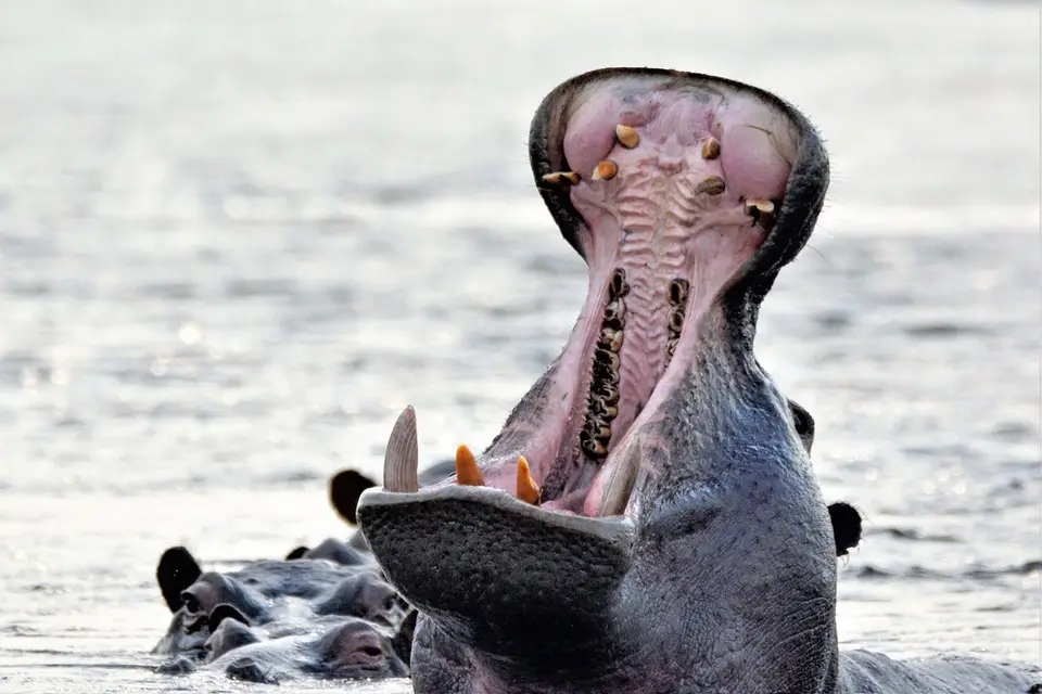 comp_DSC_5580.jpg