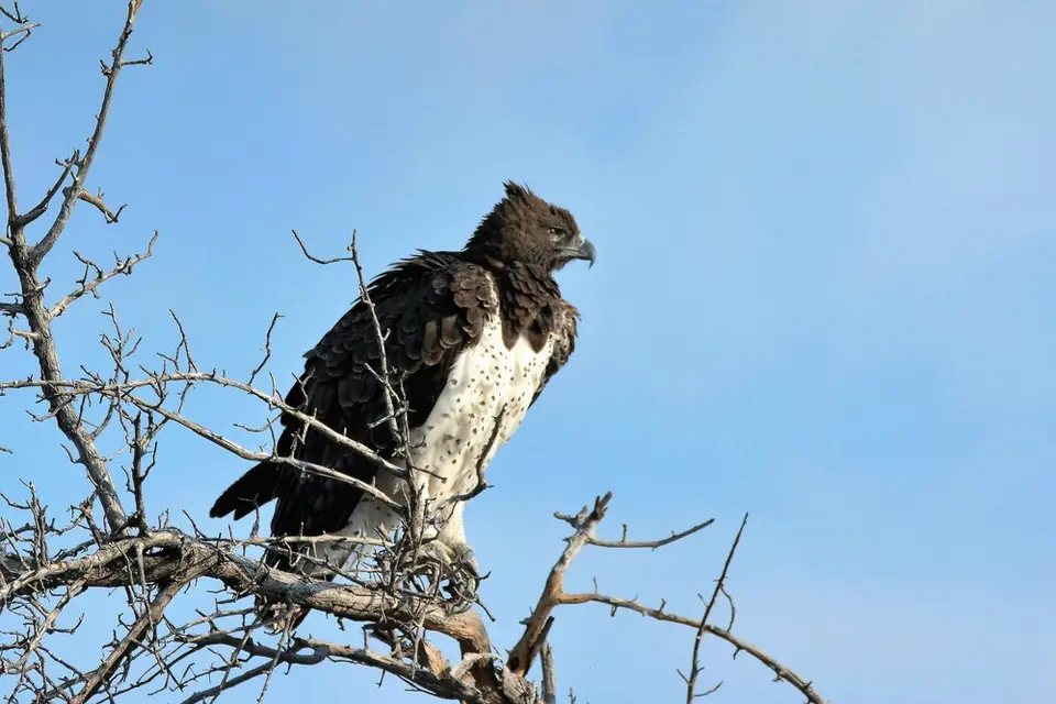 comp_DSC_5644.jpg