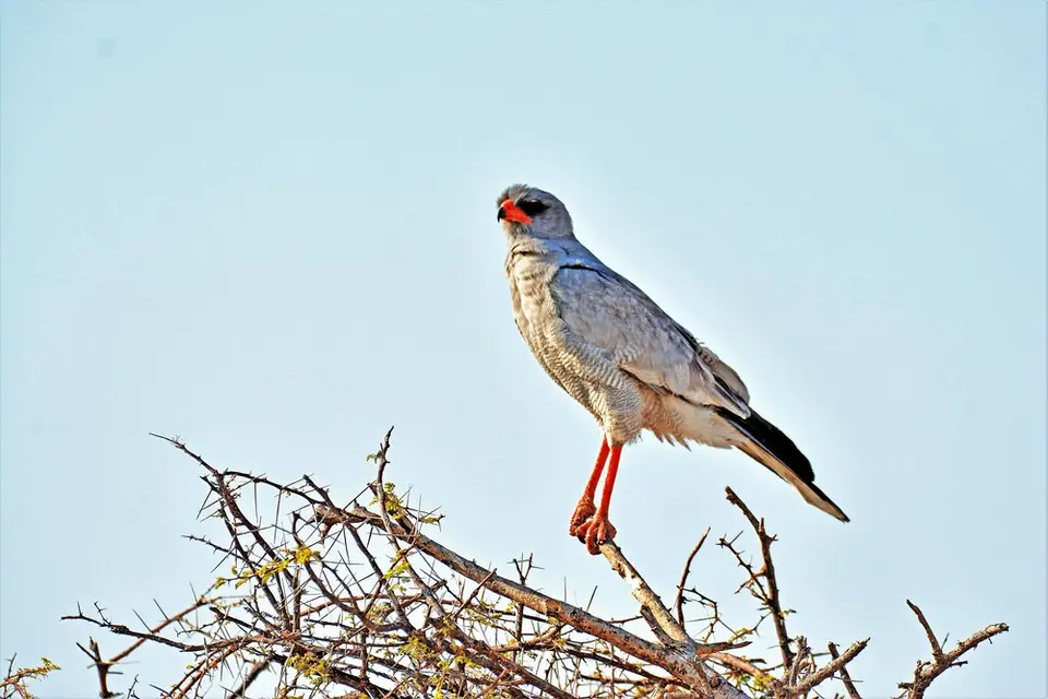 comp_DSC_5656.jpg
