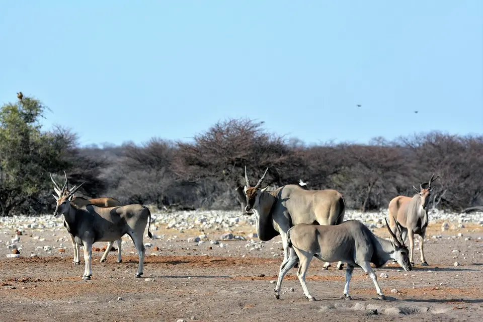 comp_DSC_5660.jpg