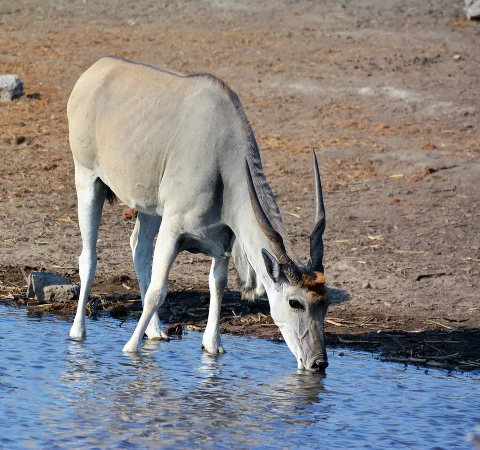comp_DSC_5674.jpg