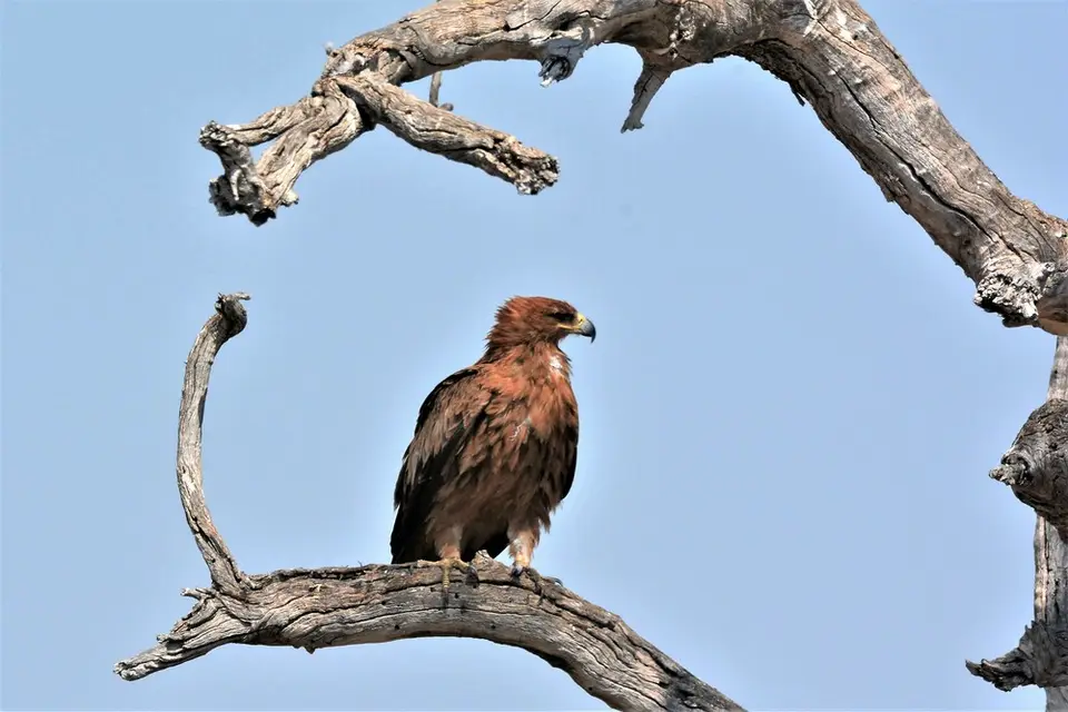 comp_DSC_5728.jpg