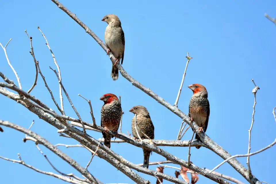 comp_DSC_6543.jpg