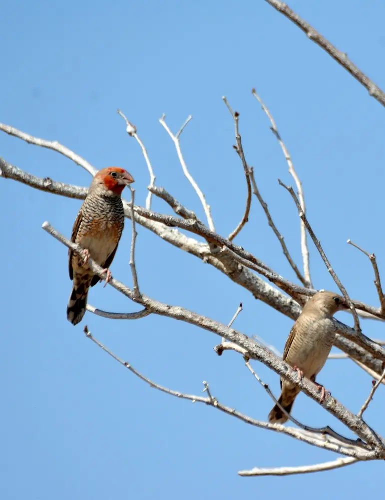 comp_DSC_6548.jpg