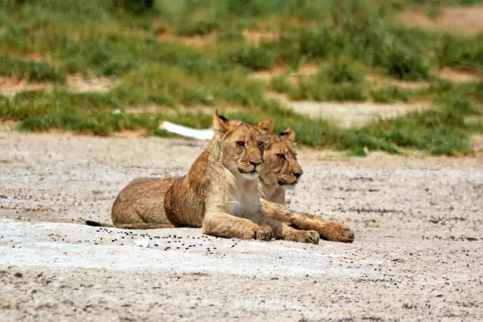 comp_DSC_6986.jpg