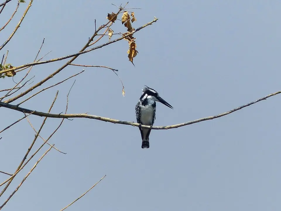 comp_P1070446.jpg