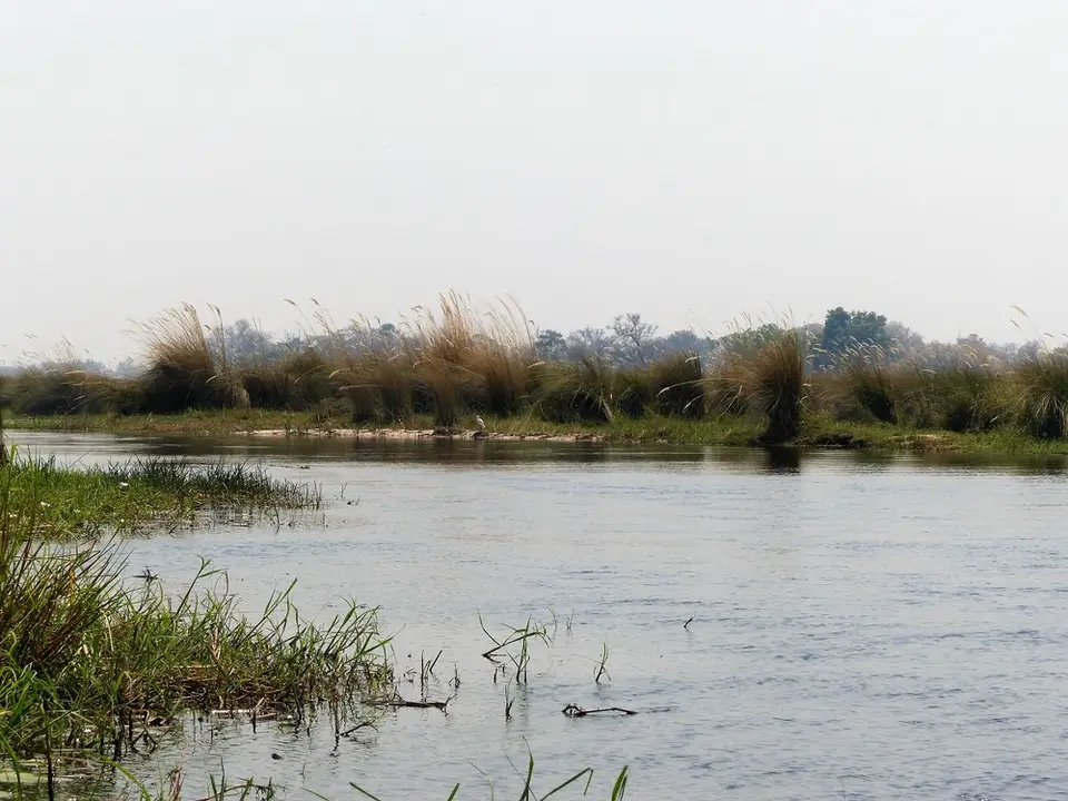 comp_P1070530.jpg