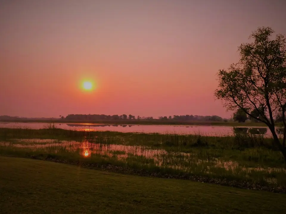 comp_P1070877.jpg