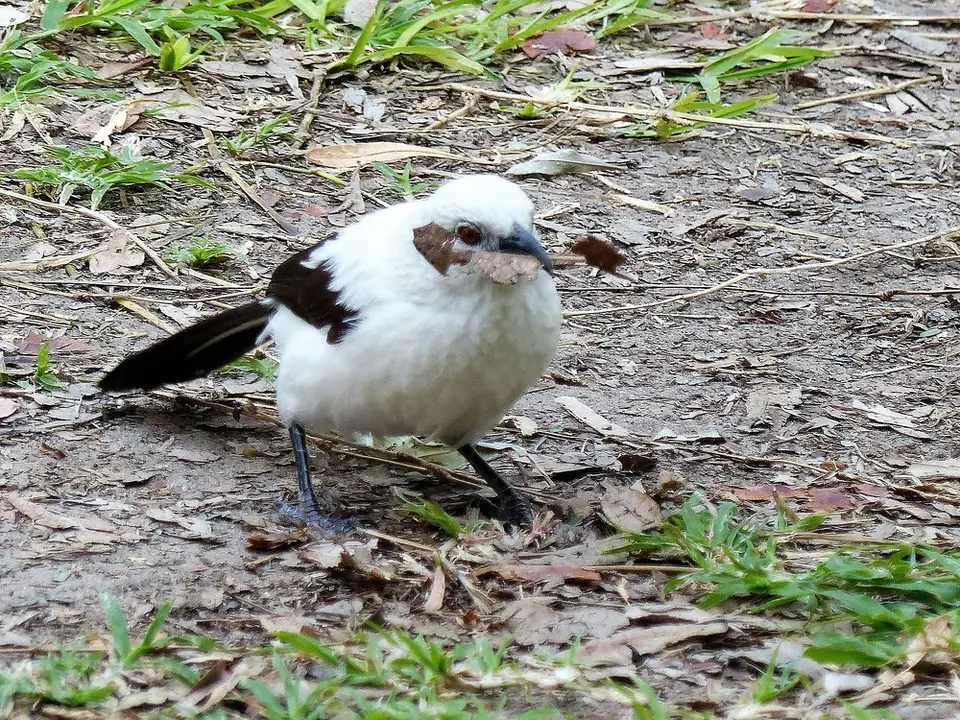 comp_P1080217.jpg