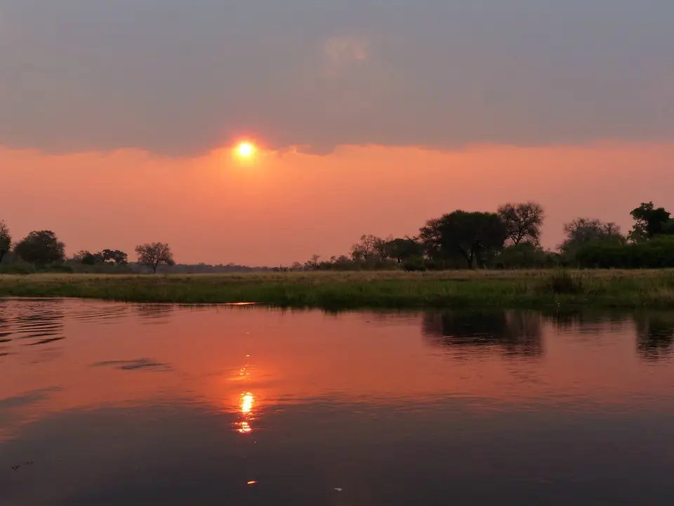 comp_P1080597.jpg