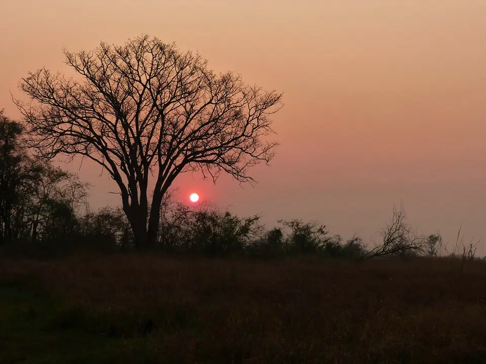 comp_P1080637.jpg