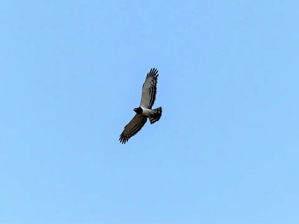comp_P1080653.jpg