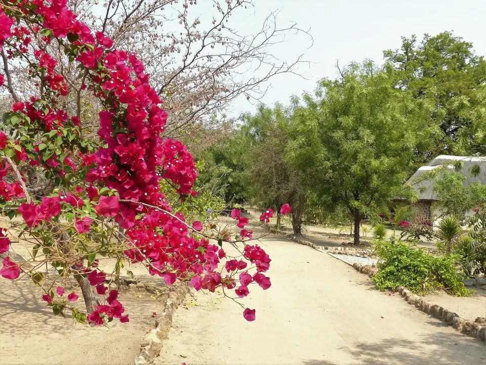 comp_P1080770.jpg
