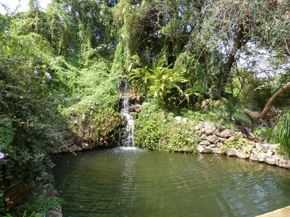 comp_P1080775.jpg