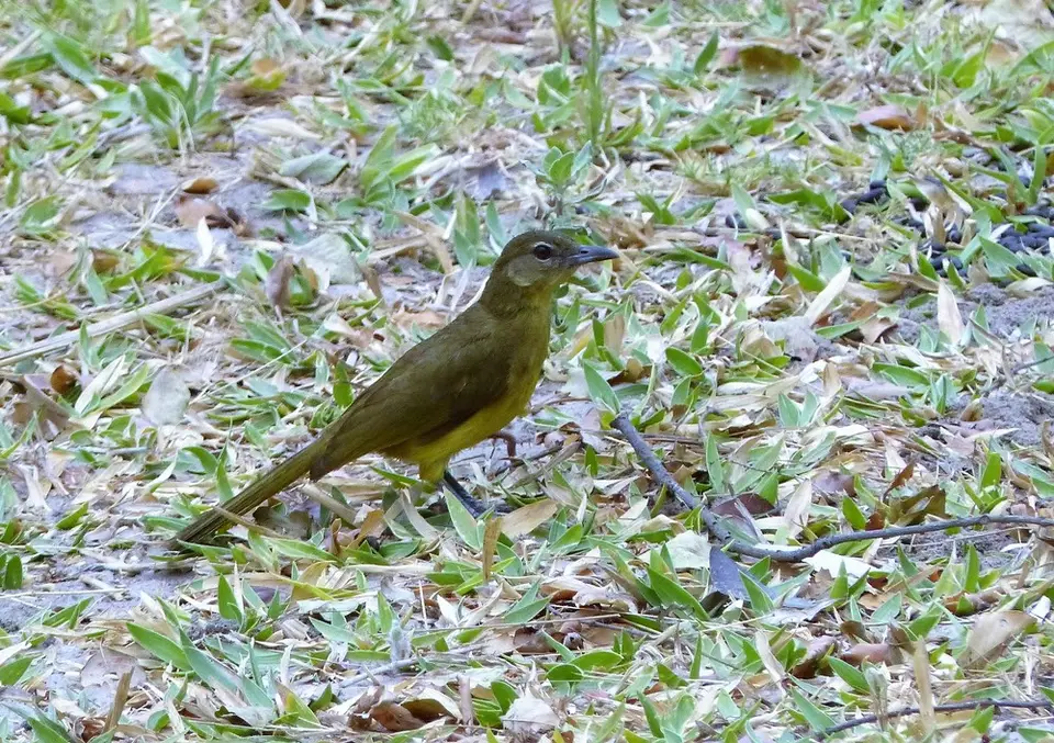 comp_P1080794.jpg