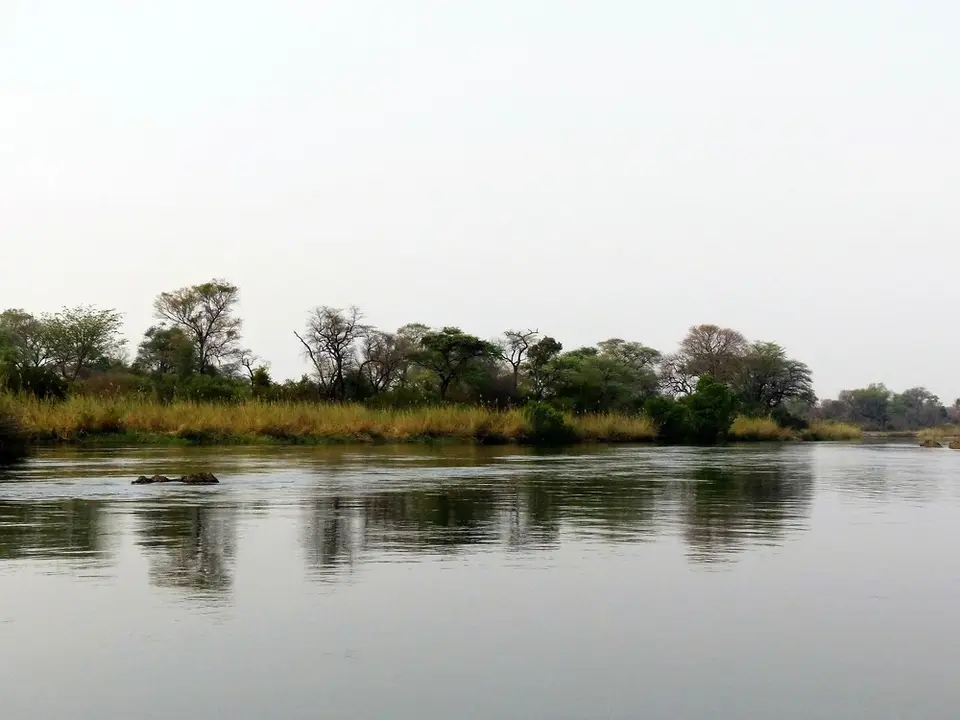 comp_P1080807.jpg