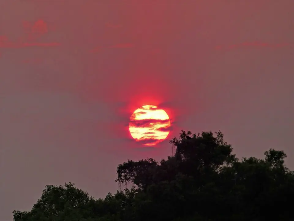 comp_P1080840.jpg