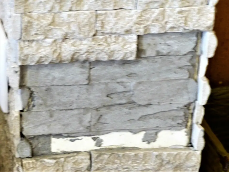 comp_P1090016-2.jpg