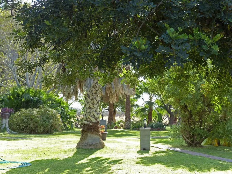 comp_P1090133.jpg