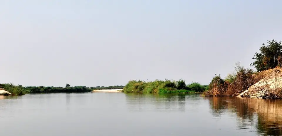 comp__DSC1494.jpg