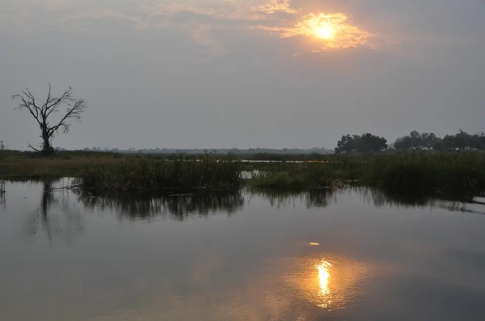 comp__DSC1904.jpg