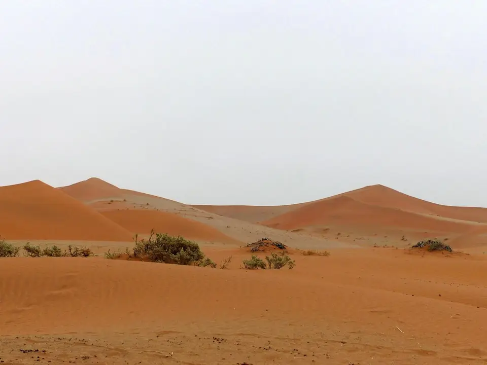 h0032e6b.jpg