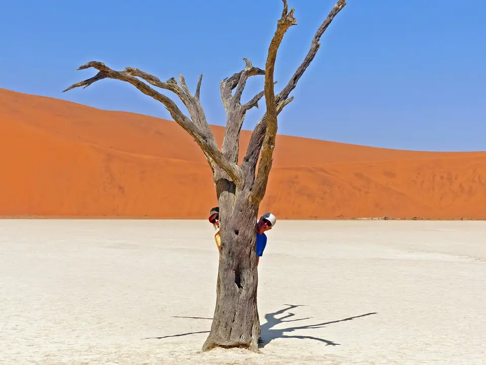 h1ae75b8.jpg