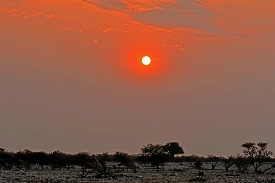 h23606b3.jpg