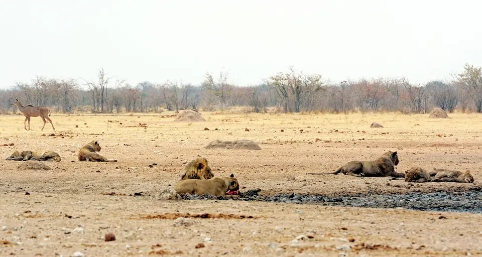 h86abf61.jpg