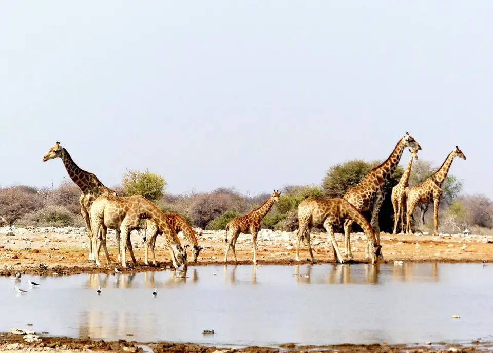hd5fd6ed.jpg