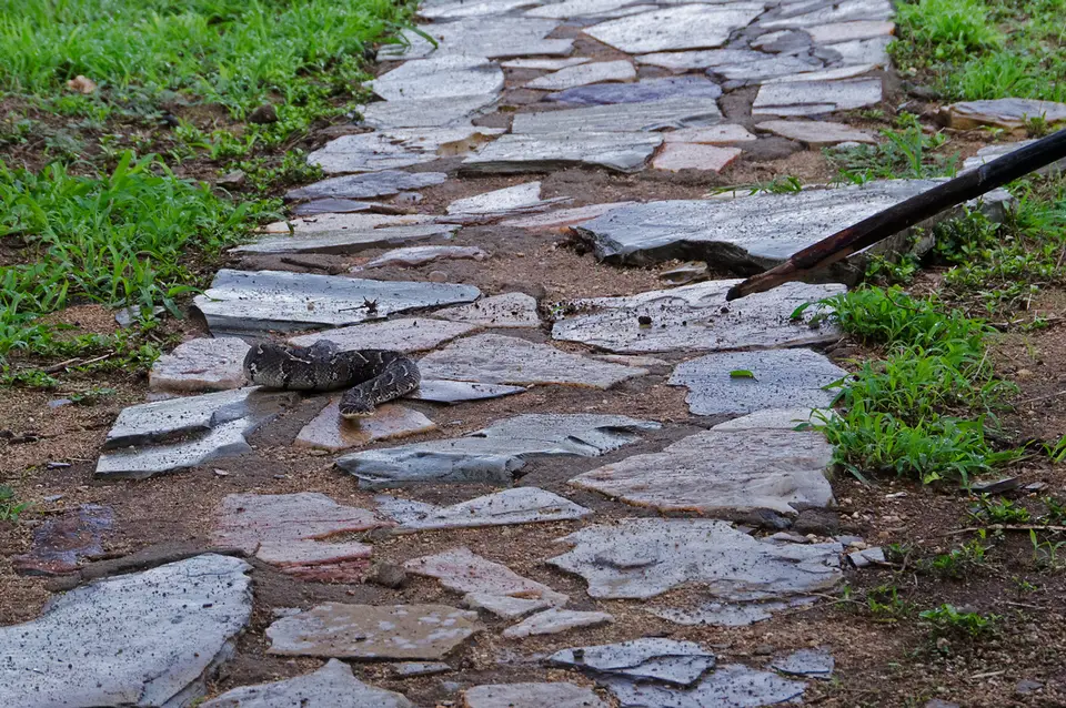 hd38e6af.jpg