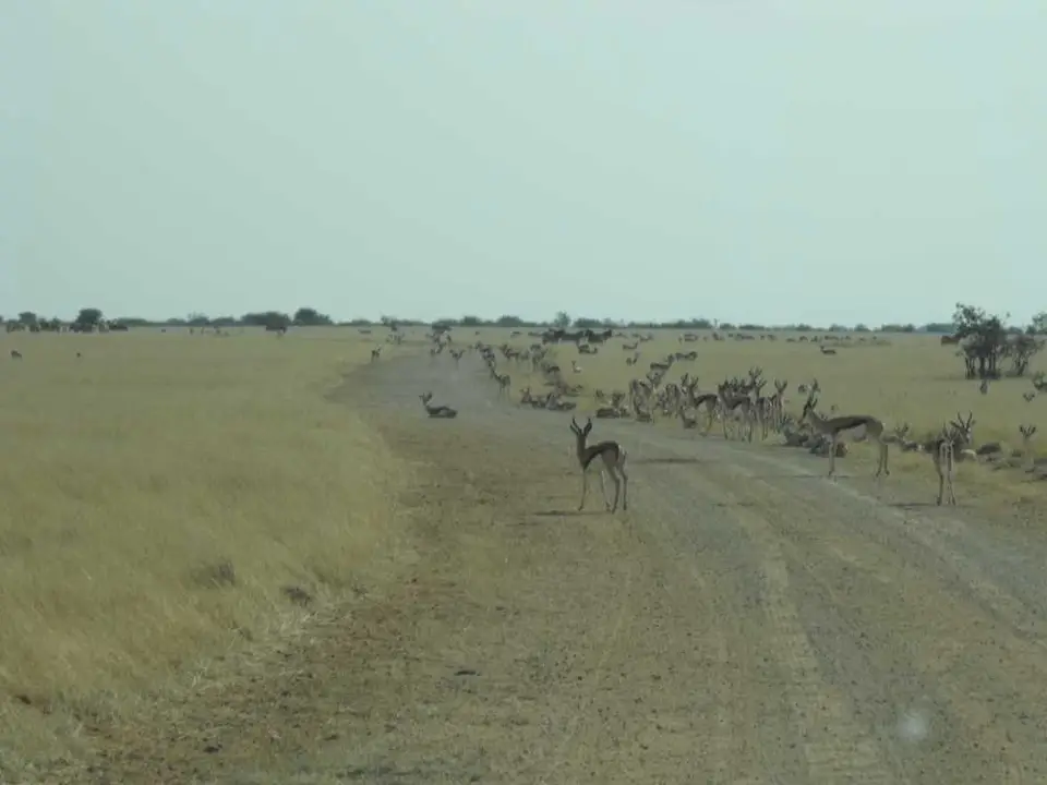 Namibia018.JPG