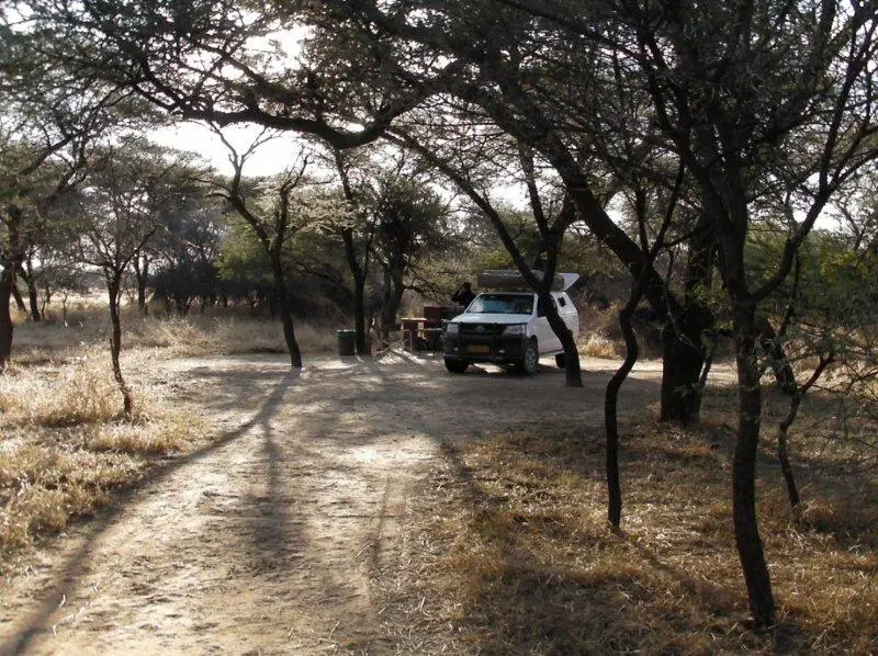 SANY0671.jpg