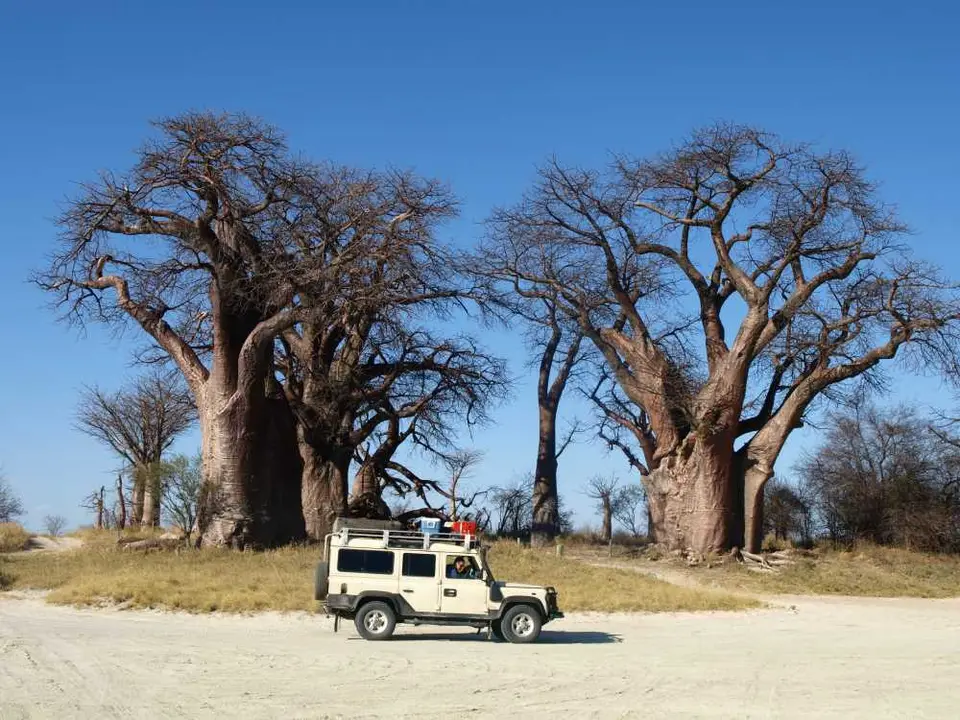 PA114119.jpg