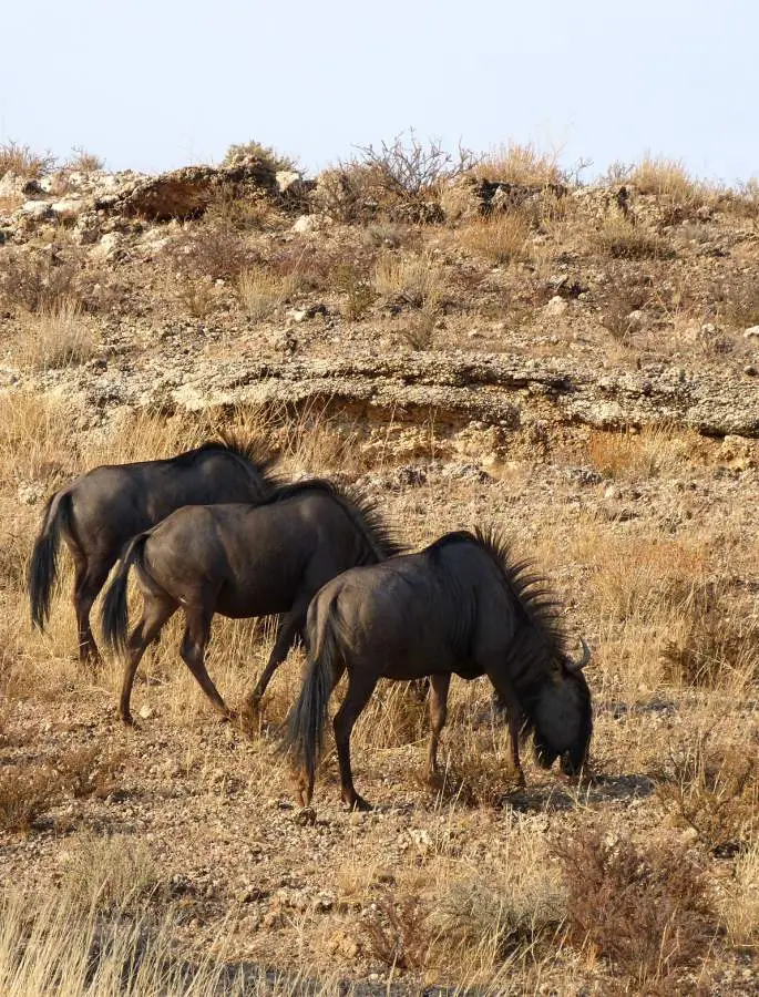 P1060192_2012-10-19-3.jpg