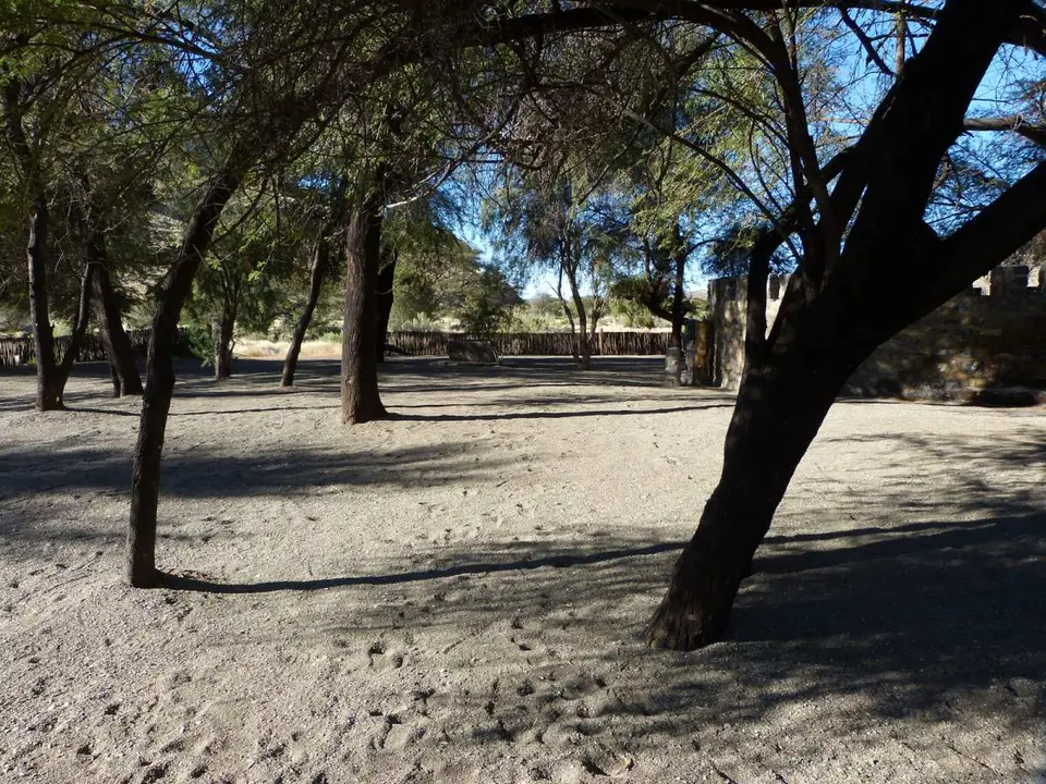 P1070649.JPG