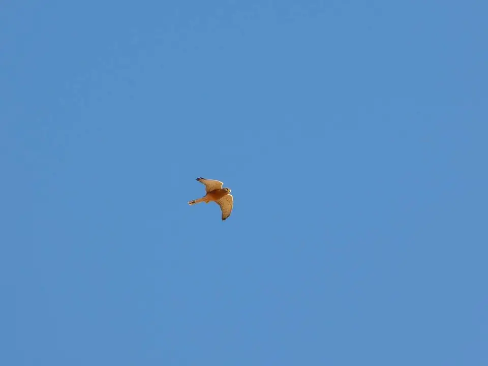 P1080649.JPG
