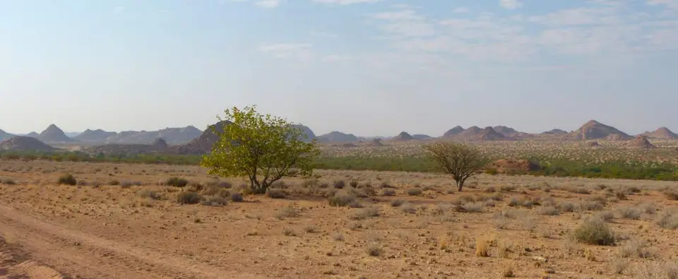 P1090955_2012-11-04.JPG