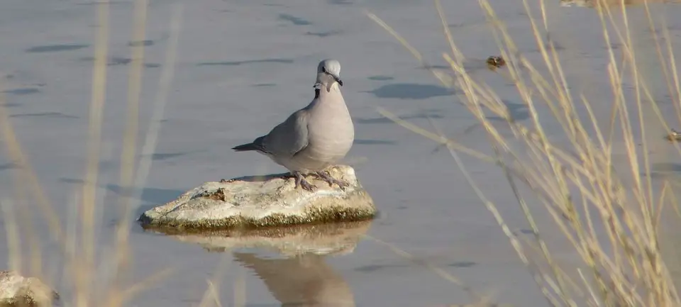 P1100687.JPG
