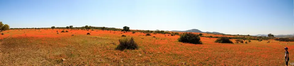 IMG_0138-2-Pano.JPG