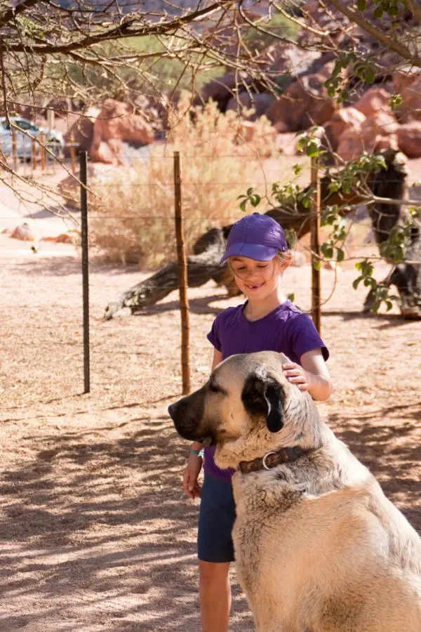 IMG_9737.JPG