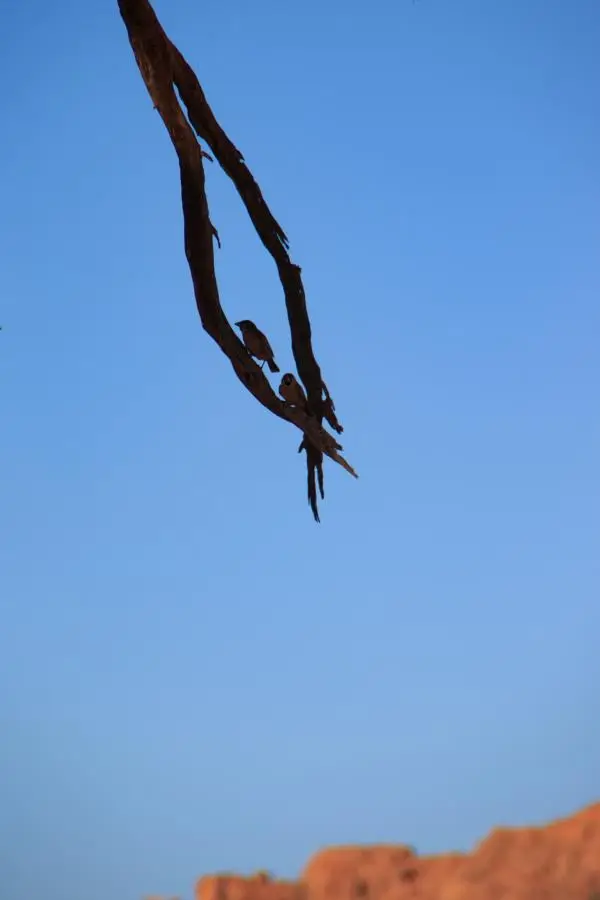 IMG_9810.JPG