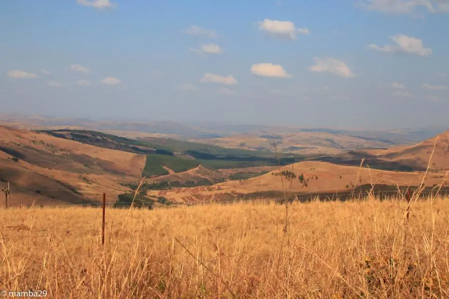 h3c93309.JPG